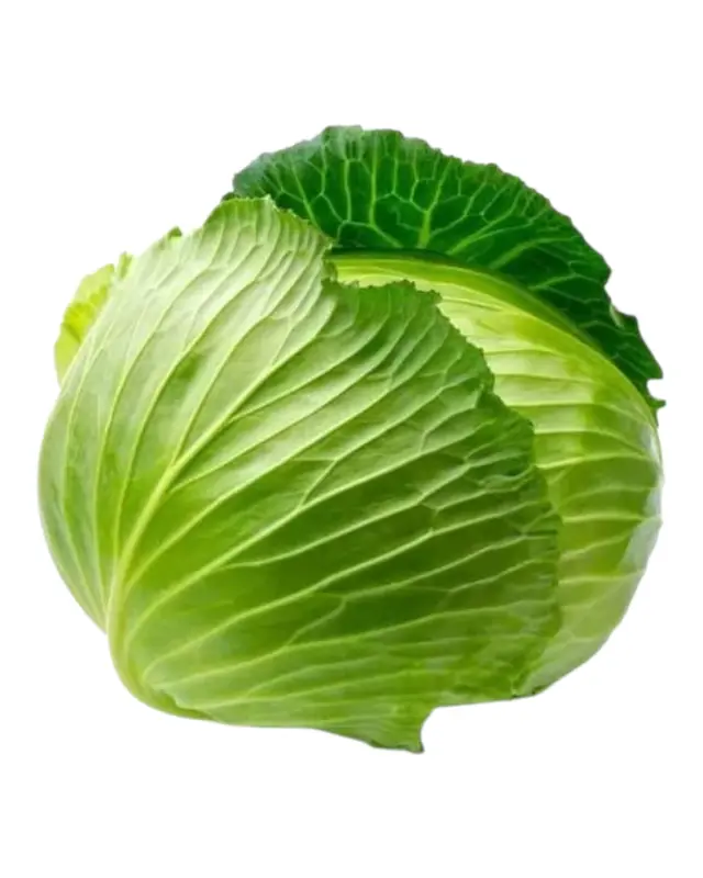 Fresh Green Cabbage - Whole Head