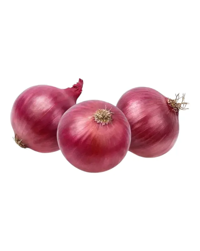Fresh Onion