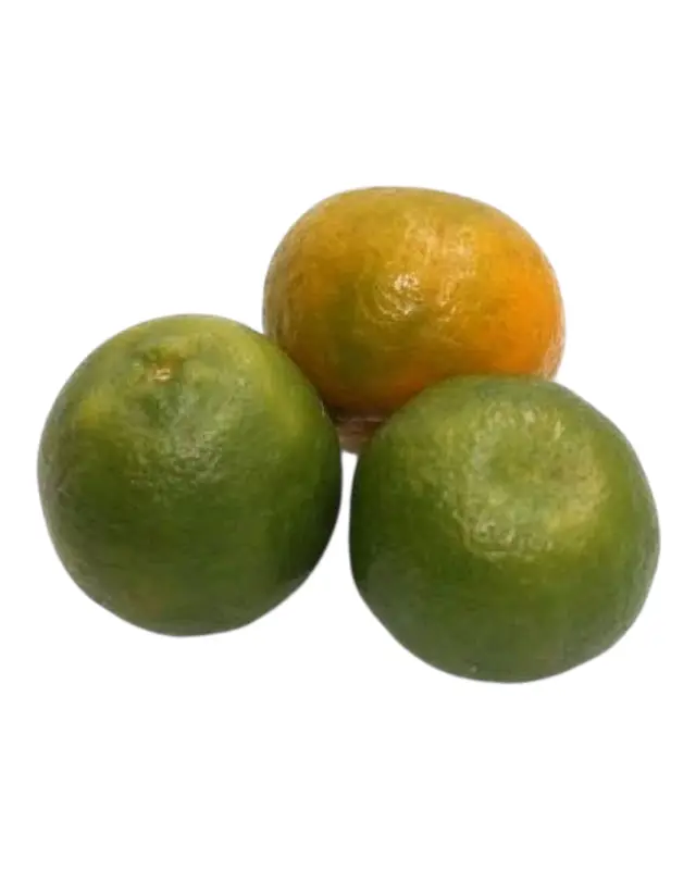 Sweet Oranges - Nagpur / Kamala (1kg Pack)